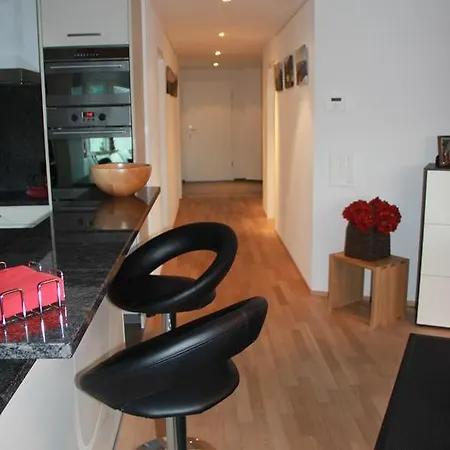 卢菲尼斯公寓 *